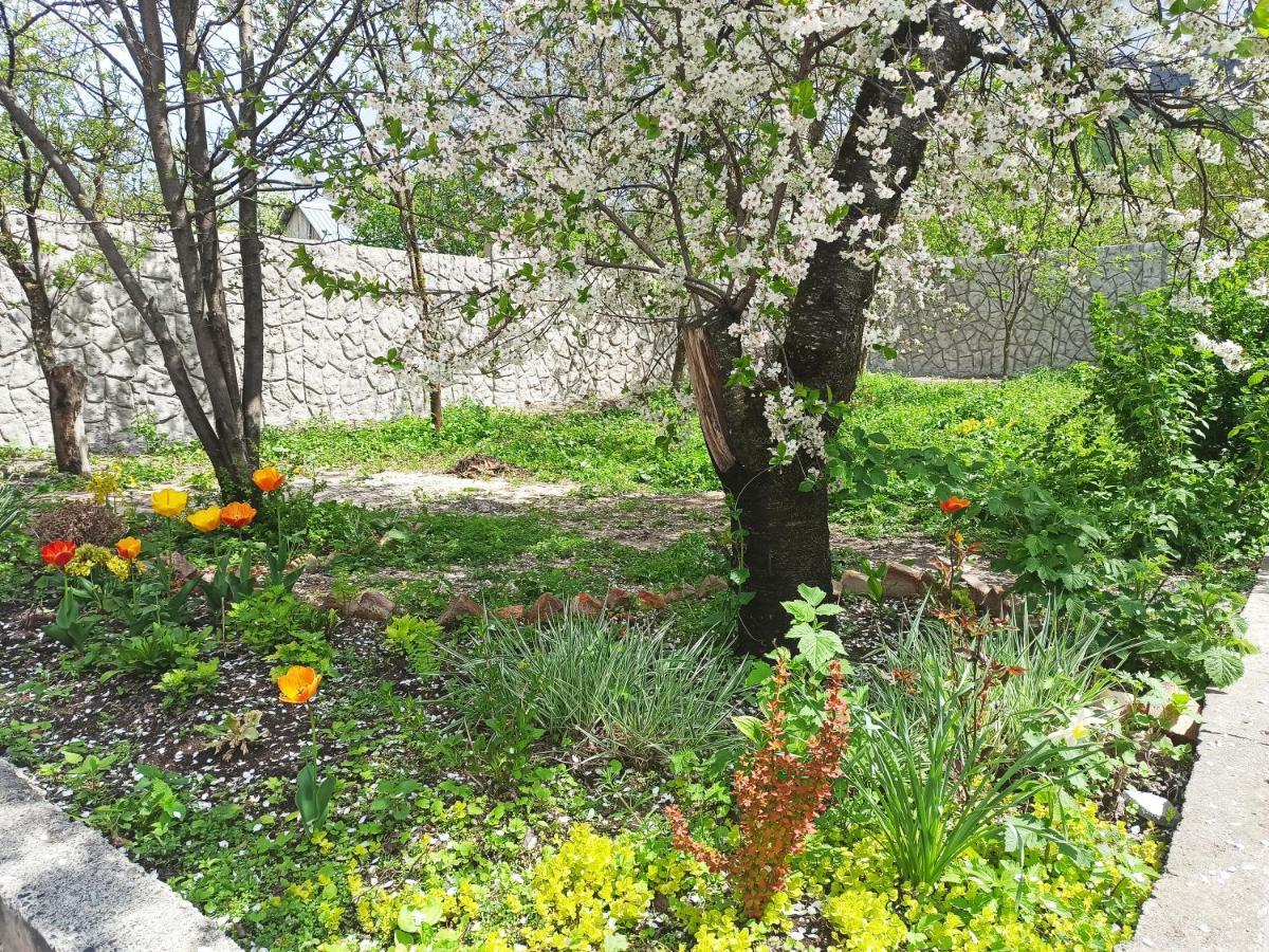 Jermatun Guest House Dilijan Exterior foto