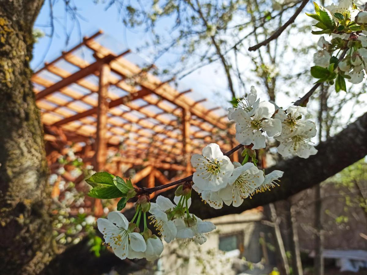 Jermatun Guest House Dilijan Exterior foto